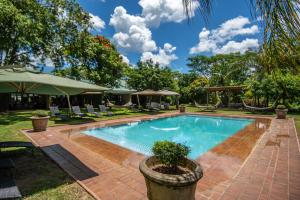 uma piscina em um quintal com cadeiras e guarda-sóis em Perry's Bridge Hollow Boutique Hotel em Hazyview