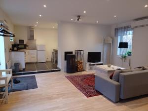 Μια τηλεόραση ή/και κέντρο ψυχαγωγίας στο Önnestad guest house