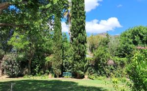 Природа в окрестностях гостевого дома +16 фотографий