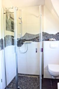 a bathroom with a shower and a toilet at Seestern in Neuenkirchen auf Rugen +17 photos