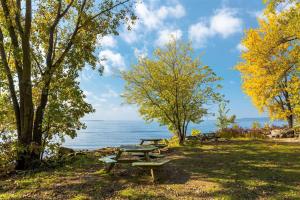 Φυσικό τοπίο κοντά σε αυτό το διαμέρισμα