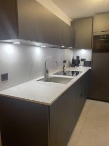 a kitchen with a sink and a counter top at Appartement Haut de Gamme neuf - 6 personnes - App 103 in Saint-Sorlin-dʼArves
