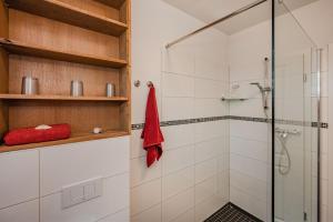 a bathroom with a shower and a glass shower stall at Ferienhaus Kontraste 4m in Korswandt