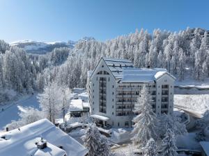 锡尔斯玛丽亚Hotel Schweizerhof Sils Maria, a Faern Collection Hotel的雪中酒店空中景观