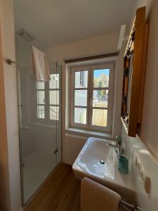 Un baño con lavabo y ducha en Vogelsang Apartments, en Gmunden 53 fotos más
