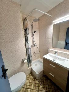 a bathroom with a shower and a toilet and a sink at Appartement calme et lumineux in Illkirch-Graffenstaden