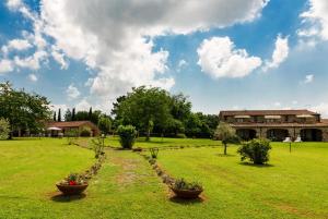 Un campo con dos plantas en macetas y un edificio. en Hotiday Massa Marittima, en Massa Marittima