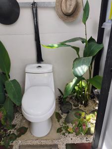a bathroom with a toilet and some plants at A-frame cabin in Palma