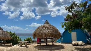 plaża z chatką, stołem i oceanem w obiekcie Hofi Celia w mieście Blue Bay