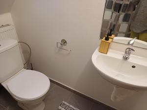 a bathroom with a white toilet and a sink at Podhradí 24 in Jáchymov
