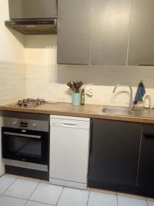 a kitchen with a sink and a stove at Noël centre Lille in Lille