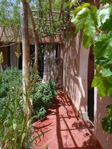 En have udenfor Tigmi N'Dounit Lodge et Nature