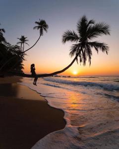 eine Frau, die mit einer Palme am Strand entlangläuft in der Unterkunft Imaa freedom house in Nilwella