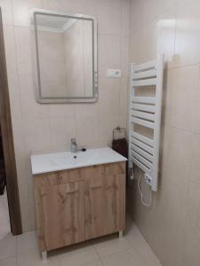 ein Badezimmer mit Waschbecken und Spiegel in der Unterkunft Apartment Espiritu Santo in Ronda