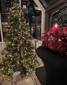 Φωτογραφία από το άλμπουμ του Villa Westend Hotel an der Messe στη Φρανκφούρτη στον Μάιν