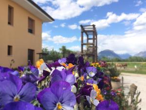 a pile of purple and orange flowers next to a building at Agriturismo San Floreano in Buia