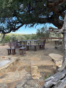 a group of picnic tables and benches under a tree at BellaTiny Campsite with camping cabin for 4 in Windhoek