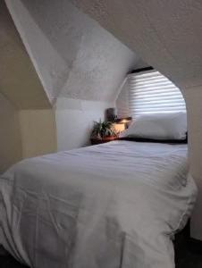 Een bed of bedden in een kamer bij Palm Villa Hostel