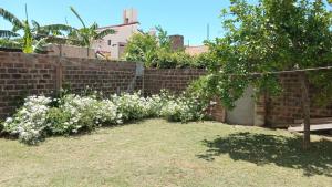 a fence with white flowers in front of a yard at SC Sunchales in Sunchales