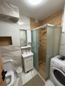 ein Badezimmer mit Waschbecken und Waschmaschine in der Unterkunft Stan Sarajevo in Sarajevo