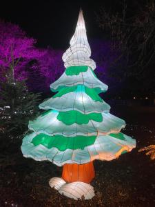 a christmas tree is lit up at night at Suite Familiale "Comme à Venise" Metz-Opéra 4 étoiles in Metz