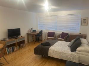 a bedroom with a bed and a desk and a television at Cozy 1 Bedroom Basement Flat in London