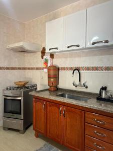 a kitchen with a sink and a stove at Apartamentos da Jo in Camanducaia +20 photos