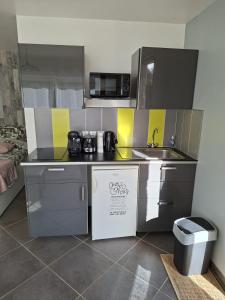 a small kitchen with a sink and a microwave at Studio Cozy in Heudreville-sur-Eure