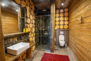 Koupelna v ubytování Земляничная поляна Боровое + 173 fotografií