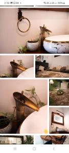 a collage of photos of a plant in a pot at Retreat by Hexa 4 Bedroom with pool and Event Space in Trivandrum