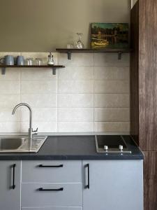 Kuchyň nebo kuchyňský kout v ubytování Green Apartments