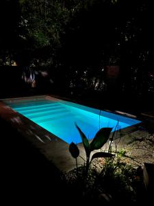 una piscina notturna con una pianta in primo piano di Acogedor chalet a 5 minutos de las playas. a Mar del Plata