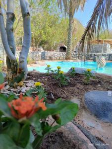 Πισίνα στο ή κοντά στο Shoka escape farm +2 φωτογραφίες