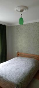 Billede fra billedgalleriet på olya's garden i Itʼkhvisi