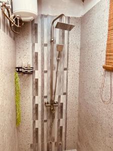 a shower with a glass door in a bathroom at Manzi Hub Residence in Zanzibar City +20 photos