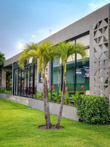 Κήπος έξω από το Refúgio cheio de estilo para dias de sossego