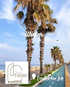 a palm tree on the side of a road at Casa Tikiri in Casalbordino