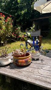 Descanso y trabajo con jardín en Barrio Carrasco في مونتيفيديو: طاولة خشبية عليها ثلاثة خزاف +11 صورة