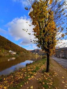 een boom aan de kant van een rivier bij Les Reflets de Meuse in Revin