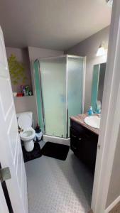 a bathroom with a shower and a toilet and a sink at DM Stays in Brandon