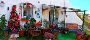 Zahrada ubytování Cueva La Loli