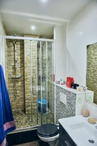 a bathroom with a shower with a toilet and a sink at Le Petit Céleste sur Seine in Choisy-le-Roi