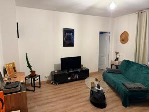 a living room with a green couch and a tv at Le Petit Céleste sur Seine in Choisy-le-Roi