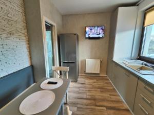 una cucina con tavolo e frigorifero di Vivo Metro Amethyst noua noua a Floreşti