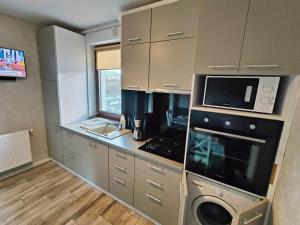 una cucina con fornelli e microonde di Vivo Metro Amethyst noua noua a Floreşti