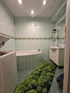 Koupelna v ubytování M-4 u ELI