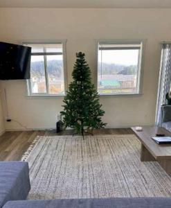 奥福德港#StayinMyDistrict Oceanview Studio Loft的客厅里设有圣诞树的客厅