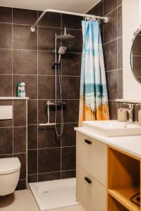 a bathroom with a shower and a toilet and a sink at Elegantes Apartment in Bad Pyrmont