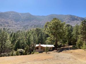 Φωτογραφία από το άλμπουμ του Cabañas La Moneda 