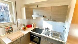 a small kitchen with a sink and a stove at Charming accommodation in Radebeul Altkötzenbroda in Radebeul